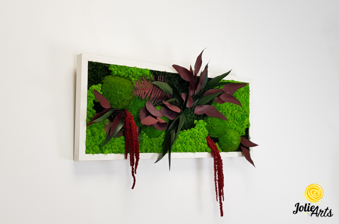 Tablou Amaranthus Roșu orizontal cu licheni și mușchi bombati [4]