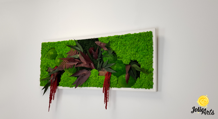 Tablou licheni, muschi si plante naturale stabilizate, Model Amaranthus Rosu, 30 x 70 cm, rama neagra, Jolie Arts, www.tablouriculicheni.ro-2 [4]