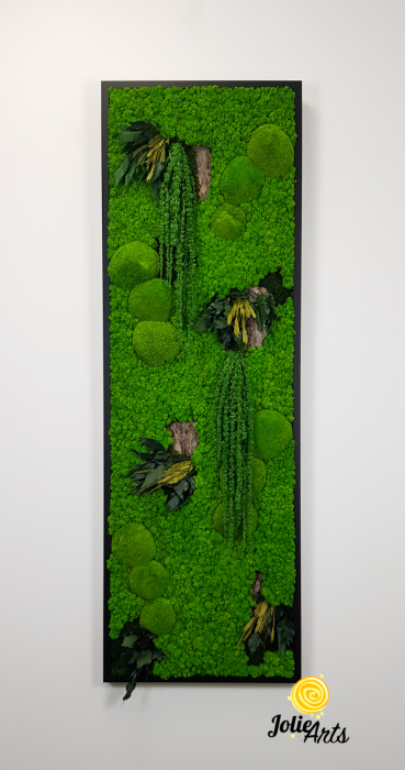 Model Amaranthus Verde – Design Vertical, Tablou Licheni Naturali [6]