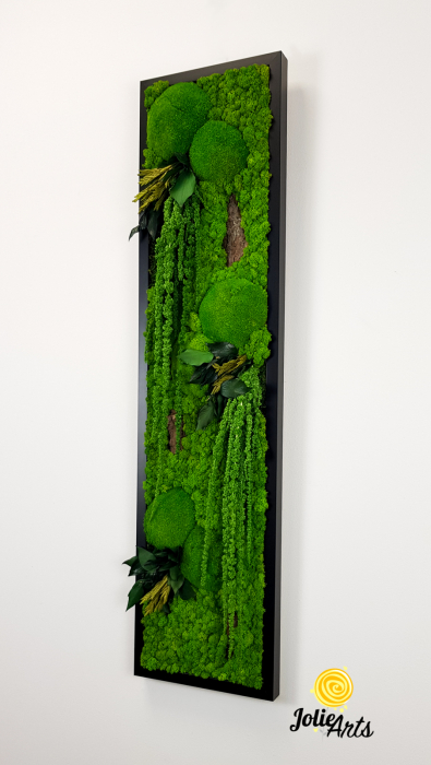 Model Amaranthus Verde, design vertical [2]