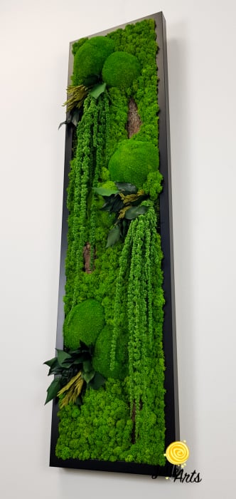 Model Amaranthus Verde, design vertical [5]