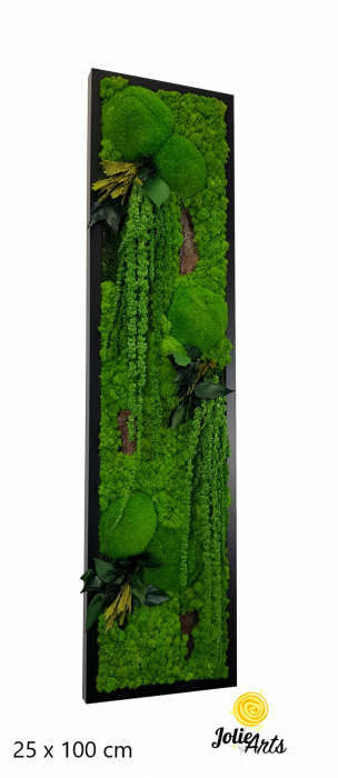 Model Amaranthus Verde, design vertical [1]