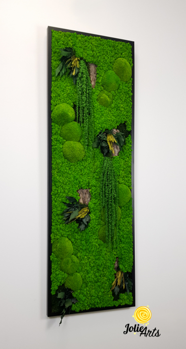 Model Amaranthus Verde, design vertical [7]