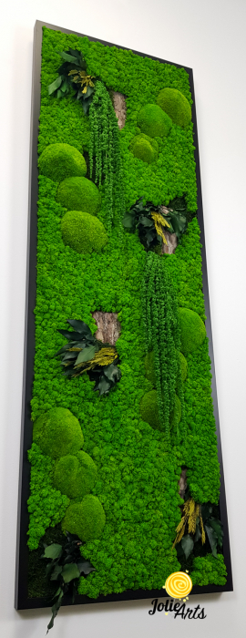 Model Amaranthus Verde, design vertical [9]