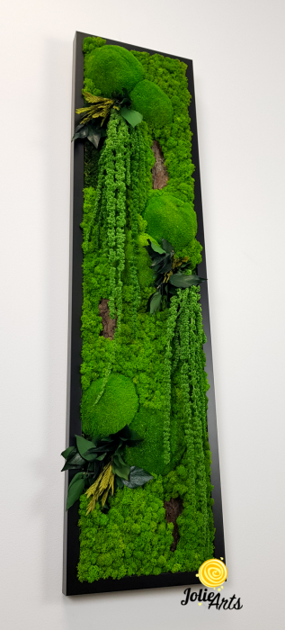Model Amaranthus Verde, design vertical [6]