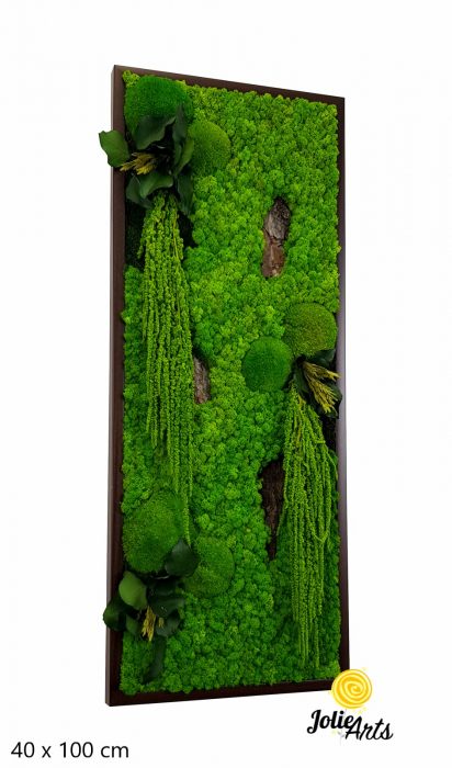 Model Amaranthus Verde – Design Vertical, Tablou Licheni Naturali [2]