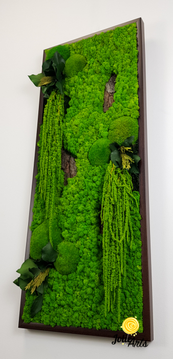 Model Amaranthus Verde – Design Vertical, Tablou Licheni Naturali [6]
