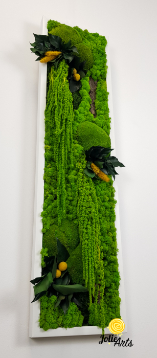 Model Amaranthus Verde – Design Vertical, Tablou Licheni Naturali [6]