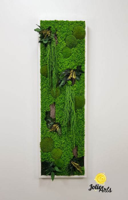 Model Amaranthus Verde – Design Vertical, Tablou Licheni Naturali [3]