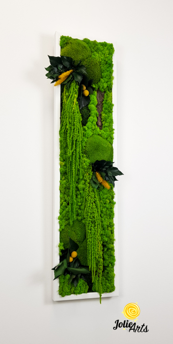 Model Amaranthus Verde – Design Vertical, Tablou Licheni Naturali [4]