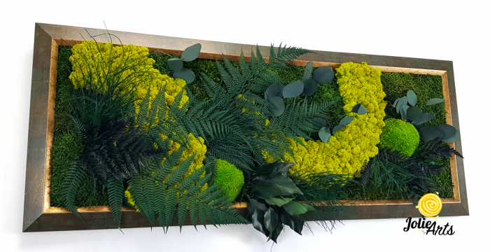 Model Amazon – Tablou Licheni, Mușchi și Plante Stabilizate – Ramă Patinată cu Inserții Aurii [7]