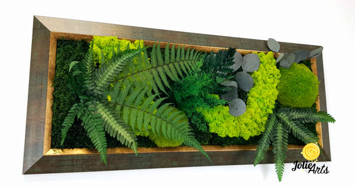 Model Amazon – Tablou Licheni, Mușchi și Plante Naturale – Ramă Patinată [7]