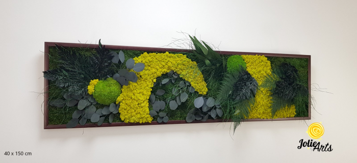 Tablou Model Amazon – Licheni, Mușchi, Plante Naturale – Ramă Clasică Negru / Maro – Jolie Arts [2]