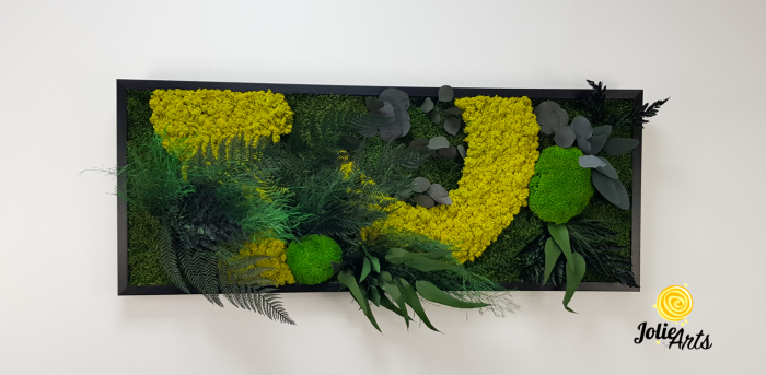 Tablou Model Amazon – Licheni, Mușchi, Plante Naturale – Ramă Clasică Negru / Maro – Jolie Arts [2]