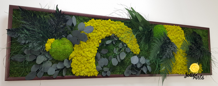 Tablou Model Amazon – Licheni, Mușchi, Plante Naturale – Ramă Clasică Negru / Maro – Jolie Arts [6]