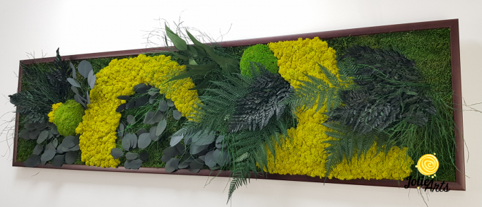 Tablou Model Amazon – Licheni, Mușchi, Plante Naturale – Ramă Clasică Negru / Maro – Jolie Arts [5]