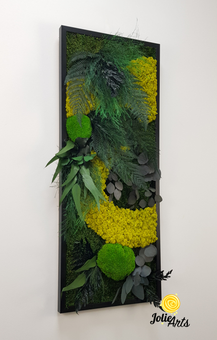 Tablou Model Amazon – Licheni, Mușchi, Plante Naturale – Ramă Clasică Negru / Maro – Jolie Arts [6]