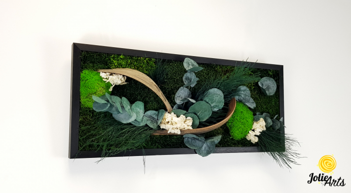 Model Aris, tablou muschi, plante stabilizate si decor natural-4 [2]