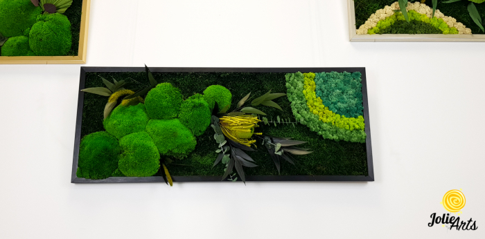 model-banksia-licheni-stabilizati-plante-naturale-conservate-muschi-de-padure-jolie-arts.jpg [3]