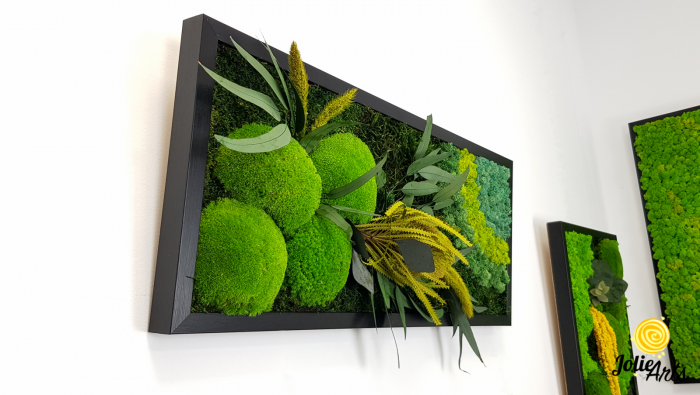 model-banksia-licheni-stabilizati-plante-naturale-conservate-muschi-de-padure-jolie-arts.jpg [7]