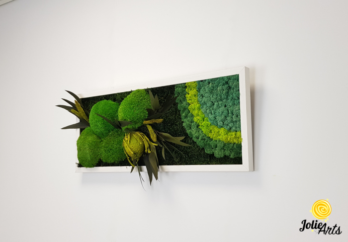 model-banksia-licheni-stabilizati-plante-naturale-conservate-muschi-de-padure-jolie-arts.jpg [3]