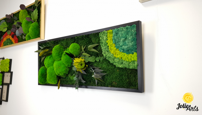 model-banksia-licheni-stabilizati-plante-naturale-conservate-muschi-de-padure-jolie-arts.jpg [2]