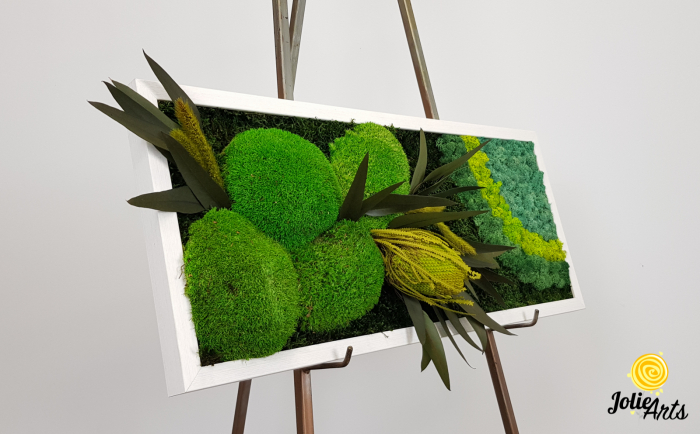 model-banksia-licheni-stabilizati-plante-naturale-conservate-muschi-de-padure-jolie-arts.jpg [6]