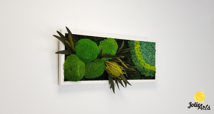 model-banksia-licheni-stabilizati-plante-naturale-conservate-muschi-de-padure-jolie-arts.jpg [5]