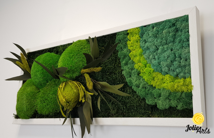model-banksia-licheni-stabilizati-plante-naturale-conservate-muschi-de-padure-jolie-arts.jpg [8]