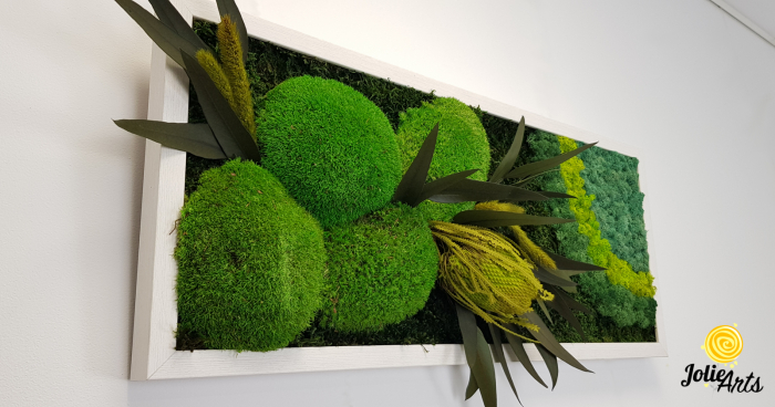 model-banksia-licheni-stabilizati-plante-naturale-conservate-muschi-de-padure-jolie-arts.jpg [7]