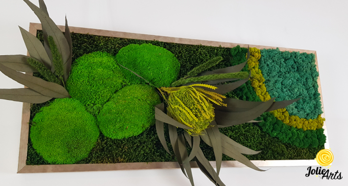model-banksia-licheni-stabilizati-plante-naturale-conservate-muschi-de-padure-jolie-arts.jpg [5]