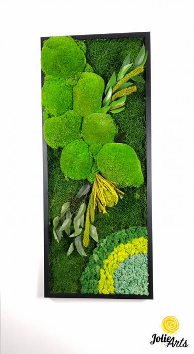 model-banksia-tablou-licheni-muschi-plante-naturale-stabilizate-jolie-arts.jpg [4]