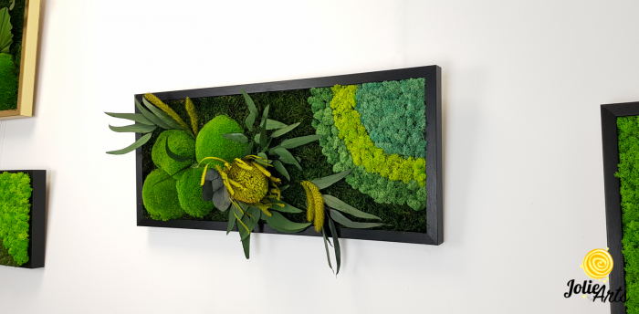 model-banksia-tablou-licheni-muschi-plante-naturale-stabilizate-jolie-arts.jpg [3]