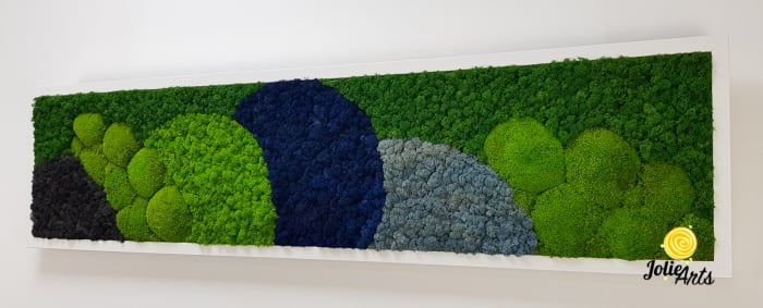Tablou Blue Jamaica – licheni și mușchi bombat, ramă albă 30 x 120 cm [6]