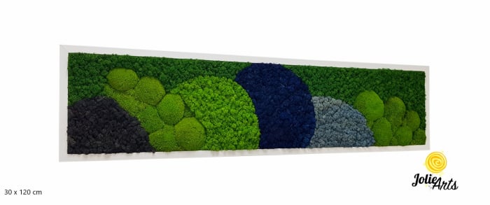 Tablou Blue Jamaica – licheni și mușchi bombat, ramă albă 30 x 120 cm [2]