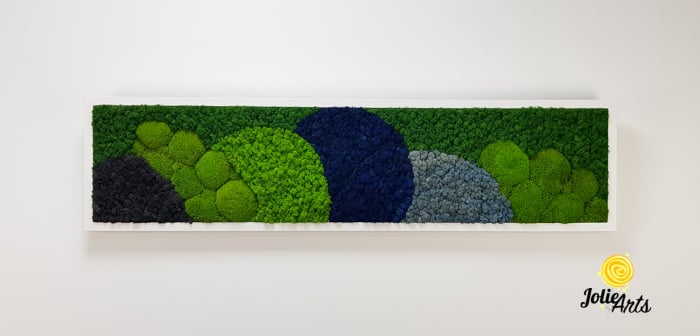 Tablou Blue Jamaica – licheni și mușchi bombat, ramă albă 30 x 120 cm [4]