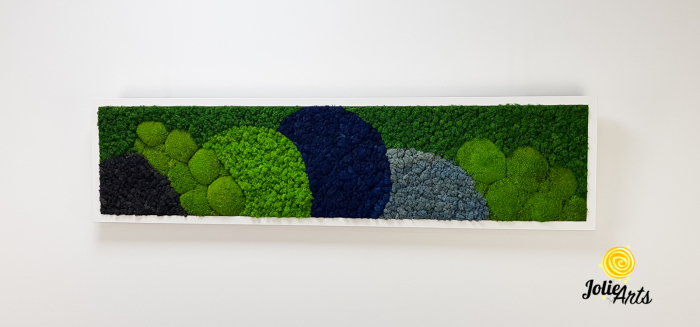 Tablou Blue Jamaica – licheni și mușchi bombat, ramă albă 30 x 120 cm [3]