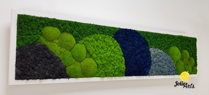 Tablou Blue Jamaica – licheni și mușchi bombat, ramă albă 30 x 120 cm [7]