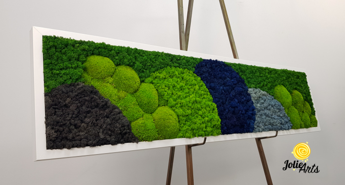 Tablou Blue Jamaica – licheni și mușchi bombat, ramă albă 30 x 120 cm [8]