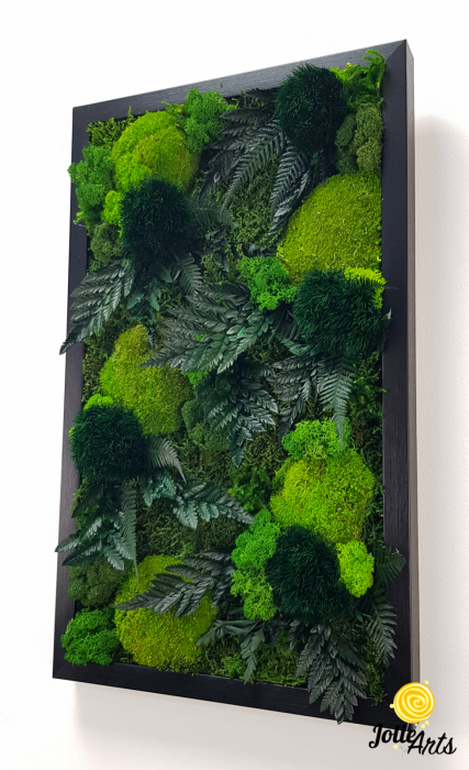 Model Cheers, Tablou Muschi, Licheni si Plante Naturale Stabilizate [2]