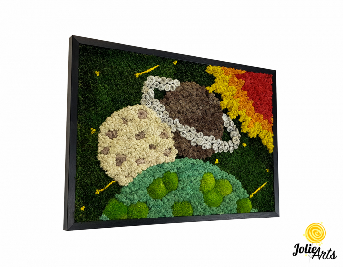 Tablou Cosmos cu licheni, mușchi bombat și plante naturale – ramă neagră, 50 x 70 cm [2]