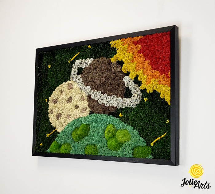 Tablou Cosmos cu licheni, mușchi bombat și plante naturale – ramă neagră, 50 x 70 cm [3]