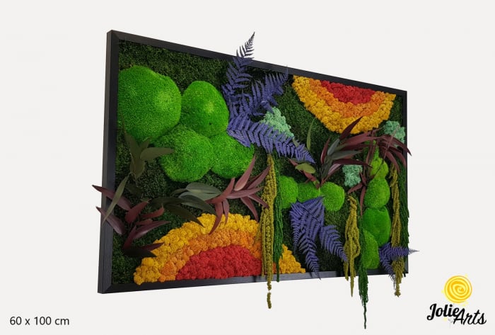 tablou curcubeu plante stabilizate muschi naturali orizontal Jolie Arts [2]