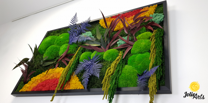 tablou curcubeu plante stabilizate muschi naturali orizontal Jolie Arts [7]