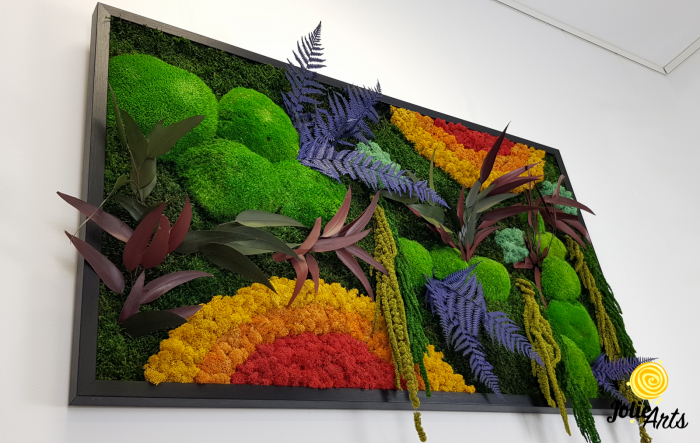 tablou curcubeu plante stabilizate muschi naturali orizontal Jolie Arts [6]