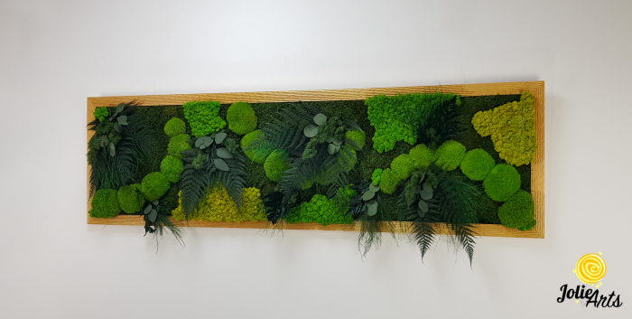 Tablou Emerald Forest cu licheni, mușchi și plante naturale – ramă aurie, 50 x 170 cm [3]