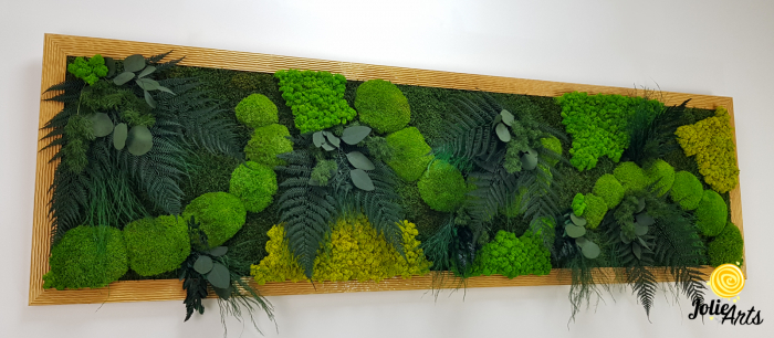 Tablou Emerald Forest cu licheni, mușchi și plante naturale – ramă aurie, 50 x 170 cm [6]