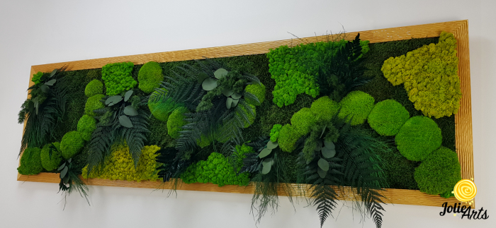 Tablou Emerald Forest cu licheni, mușchi și plante naturale – ramă aurie, 50 x 170 cm [5]