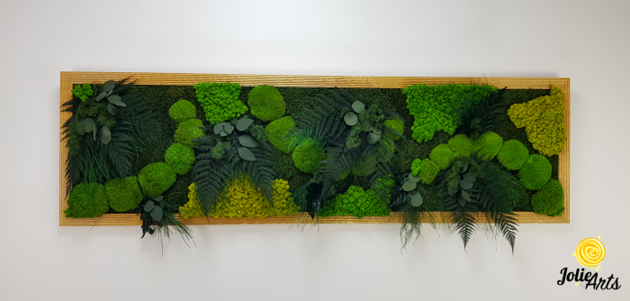 Tablou Emerald Forest cu licheni, mușchi și plante naturale – ramă aurie, 50 x 170 cm [4]
