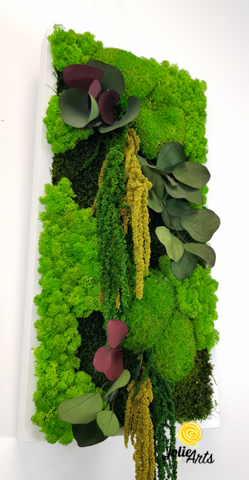 Tablou Etsy – Vertical, cu Licheni, Mușchi și Plante Naturale Stabilizate [5]